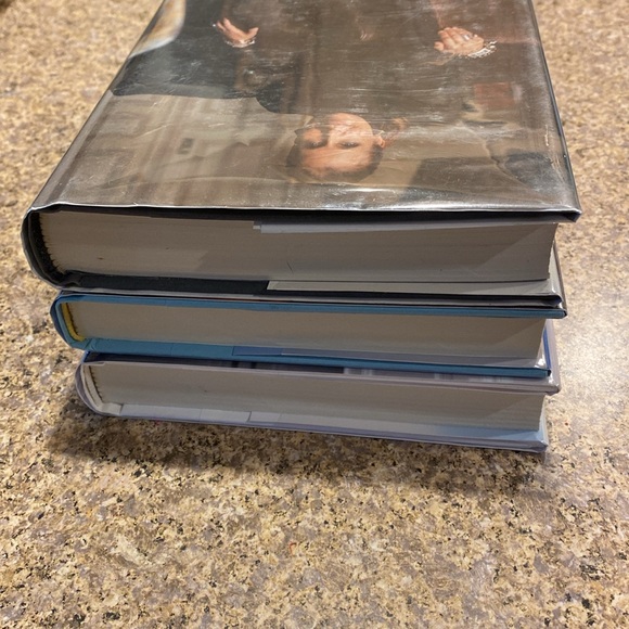 3 Danielle Steel Hardcover Books Wedding Planner Palazzo Matters of the Heart - Picture 7 of 16